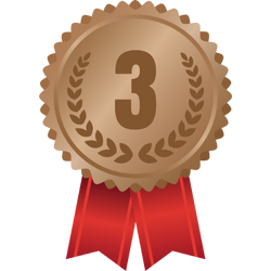 Platz 3